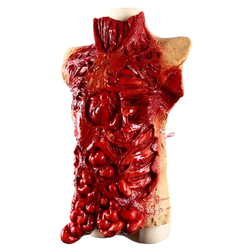 Gory Bloody Torso Chest Piece Gory Zombie Chest Piece Apron Halloween Masquerade  Guts Heart Vest Fancy Dress Prop