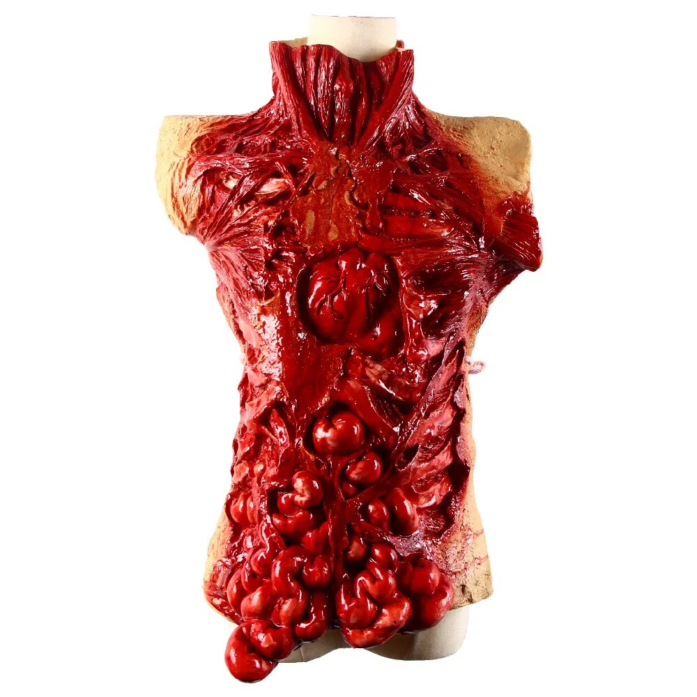 Gory Bloody Torso Chest Piece Gory Zombie Chest Piece Apron Halloween Masquerade  Guts Heart Vest Fancy Dress Prop